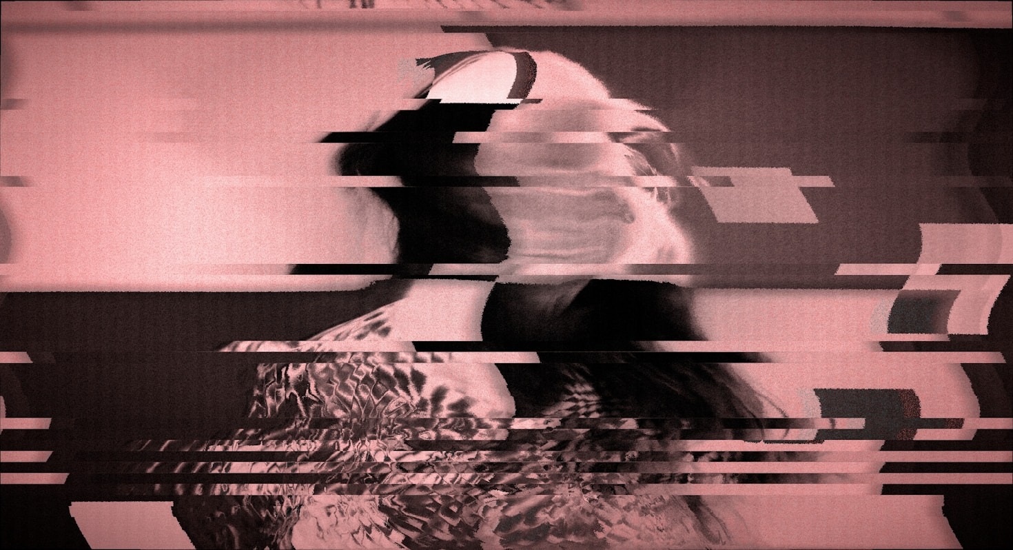 How Stivan Widick Is Changing the Visual Arts Landscape