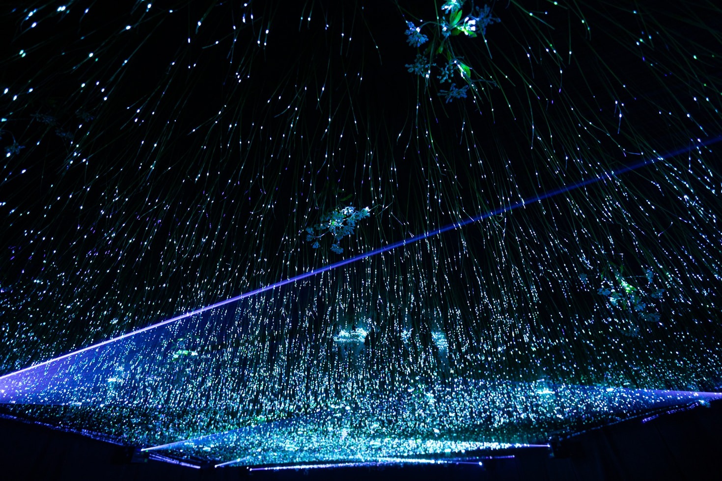 Behind the Scenes: Stivan Widick’s Creative Process